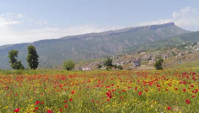 Baharda Derecik galerisi resim 11
