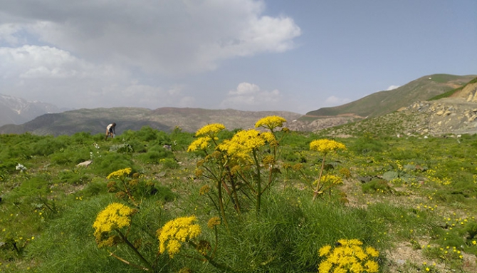 Baharda Derecik galerisi resim 25