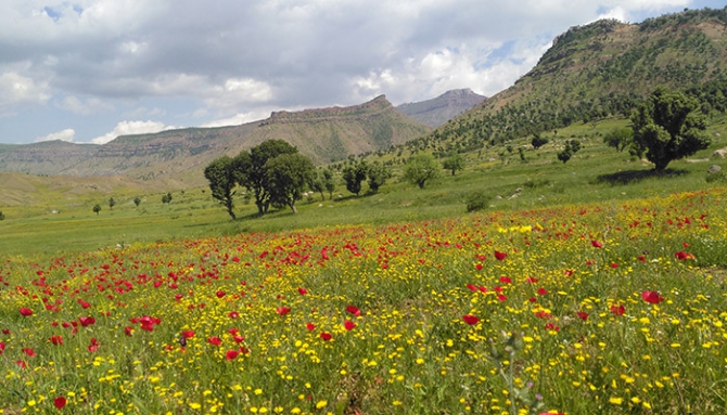 Baharda Derecik galerisi resim 4