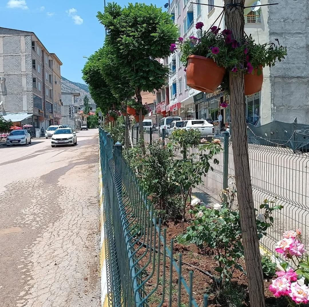Cumhuriyet Caddesi Orta Refüj Ağaçlandırma ve Peyzaj Düzenlemesi